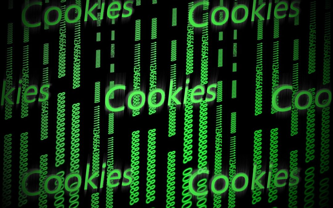 ¿Qué son las cookies?